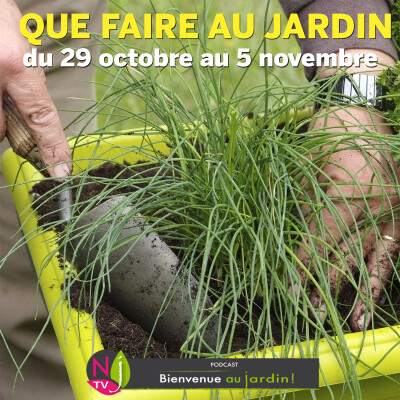 QUE FAIRE DANS LE JARDIN DU 29 OCTOBRE AU 5 NOVEMBRE ? cover