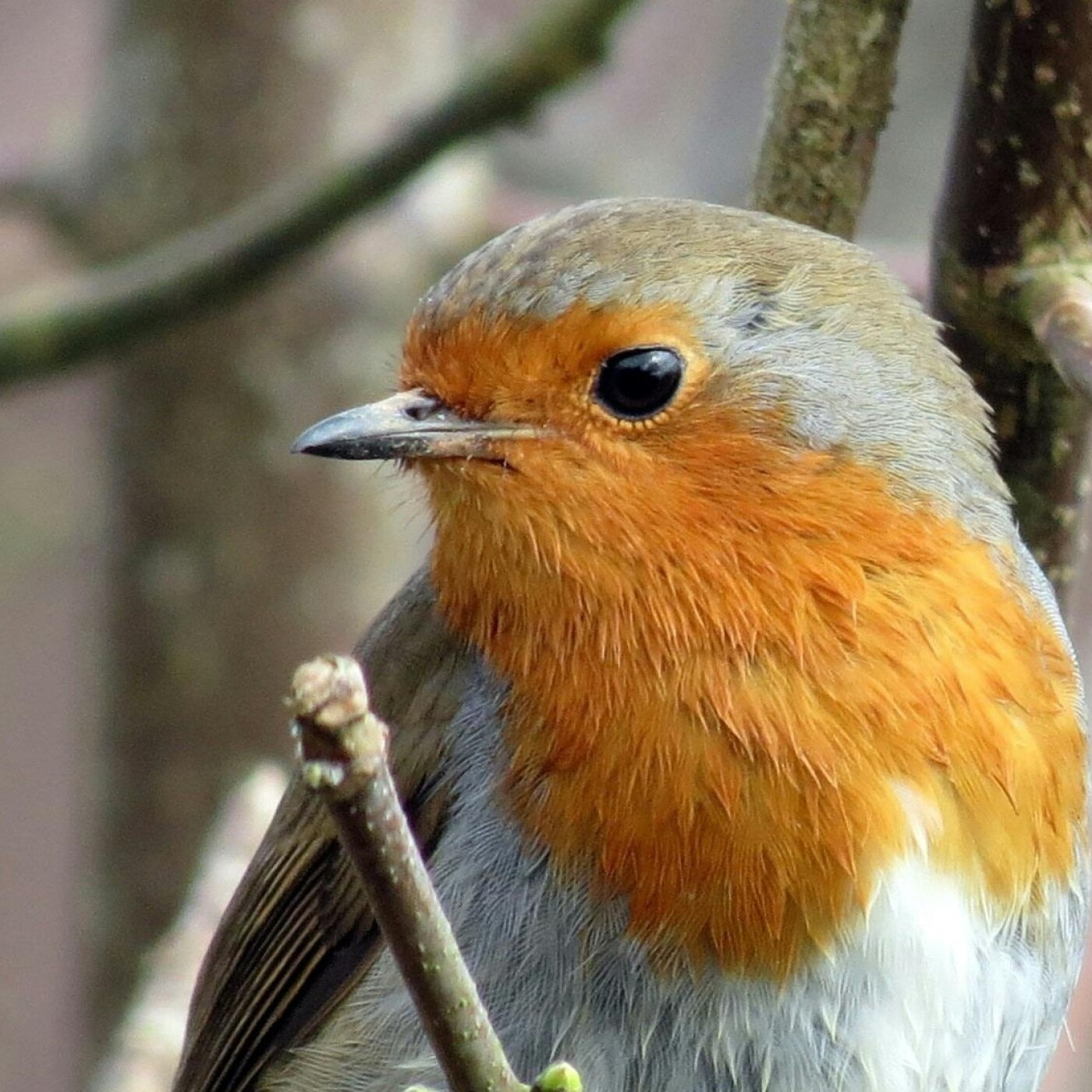 21 : Avez-vous déjà joué au Scrabble avec ma belle-mère ?