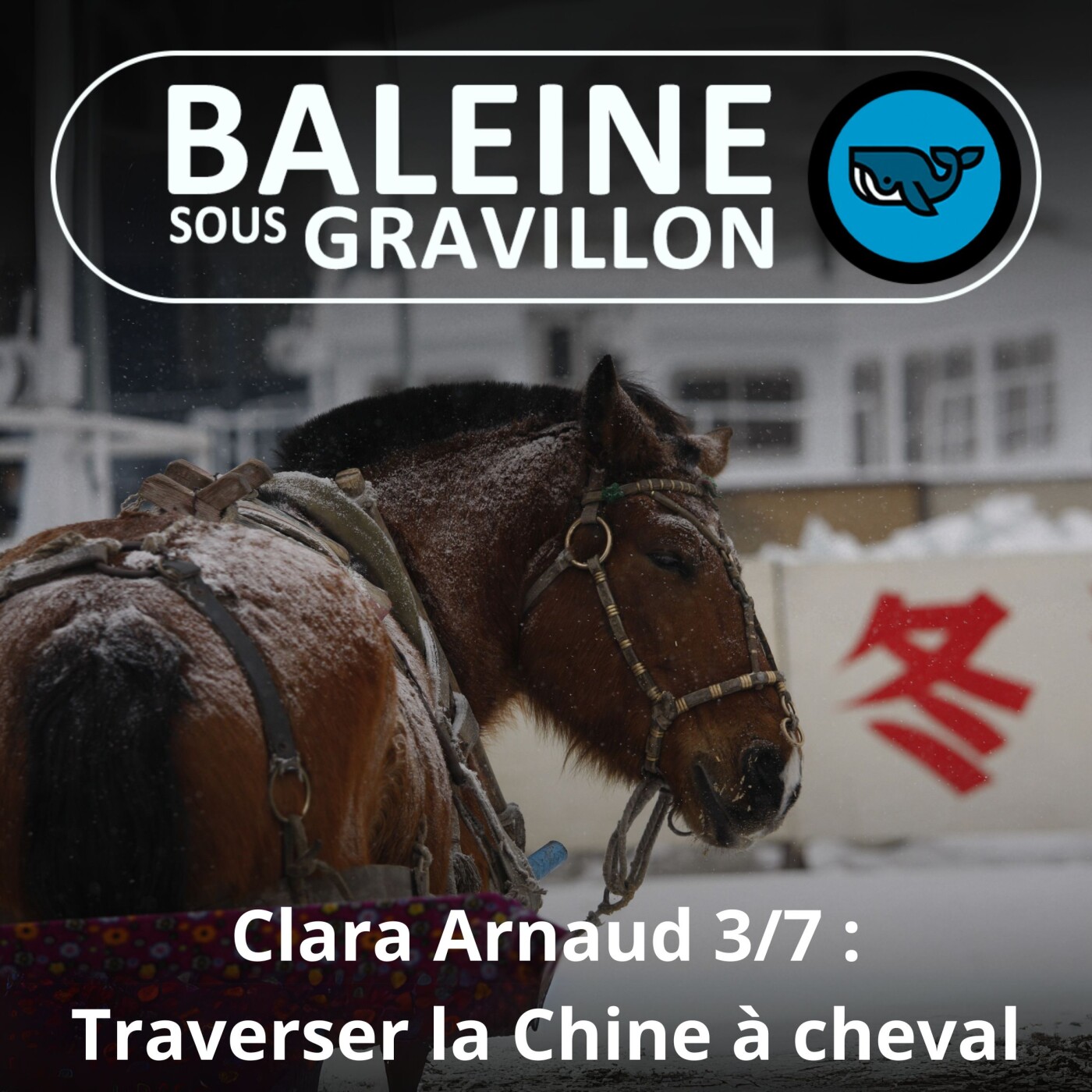 S06E18 Clara Arnaud 3/7 : Traverser la Chine et le Caucase... à cheval