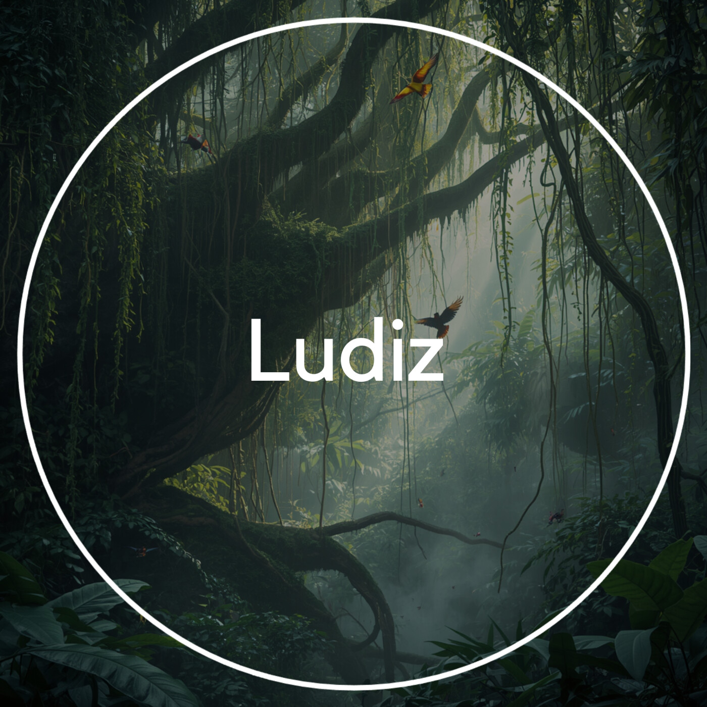Ludiz — Rendez-vous en terre digitale cover