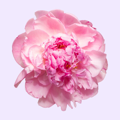 ANTI STRESS - 4 - cover