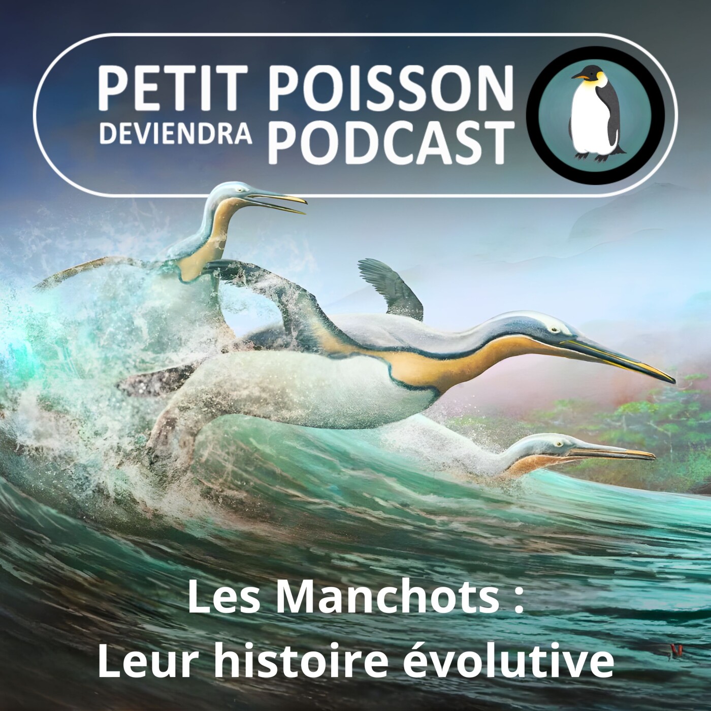 S05E12 Les Manchots : Prendre son envol dans l'eau, ou l'histoire évolutive des manchots (Mathilde Chevallay) S05E12 Les Manchots : Prendre son envol dans l'eau, ou l'histoire évolutive des manchots (Mathilde Chevallay)