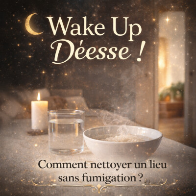 COMMENT NETTOYER UN LIEU SANS FUMIGATION? cover