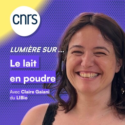 Lumière sur... Les poudres de lait cover