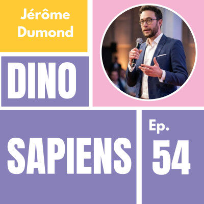 Jérôme Dumond : Range ta chambre avant de faire de l'intelligence artificielle cover