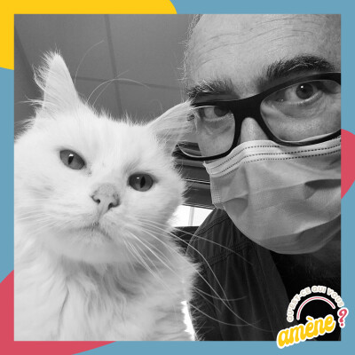 10 - Les coups de soleil chez vos chiens et chats cover