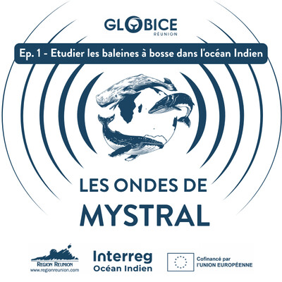 Les ondes de Mystral Ep. 1 : Etudier les baleines à bosse dans l'océan Indien cover
