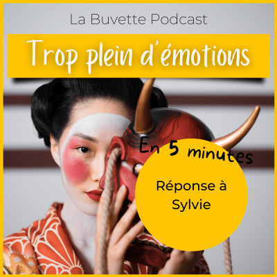 En 5 Minutes • Comment gérer le trop plein d'émotion ? Réponse à Sylvie cover