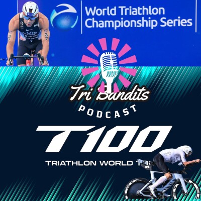 DEBRIEF T100 (ET DE LA NON WTCS) cover