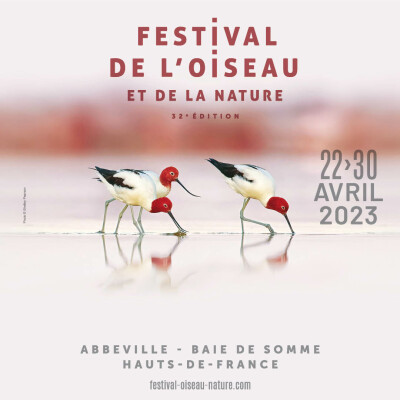 La nature et les oiseaux se parent de leurs plus beaux atours ! cover