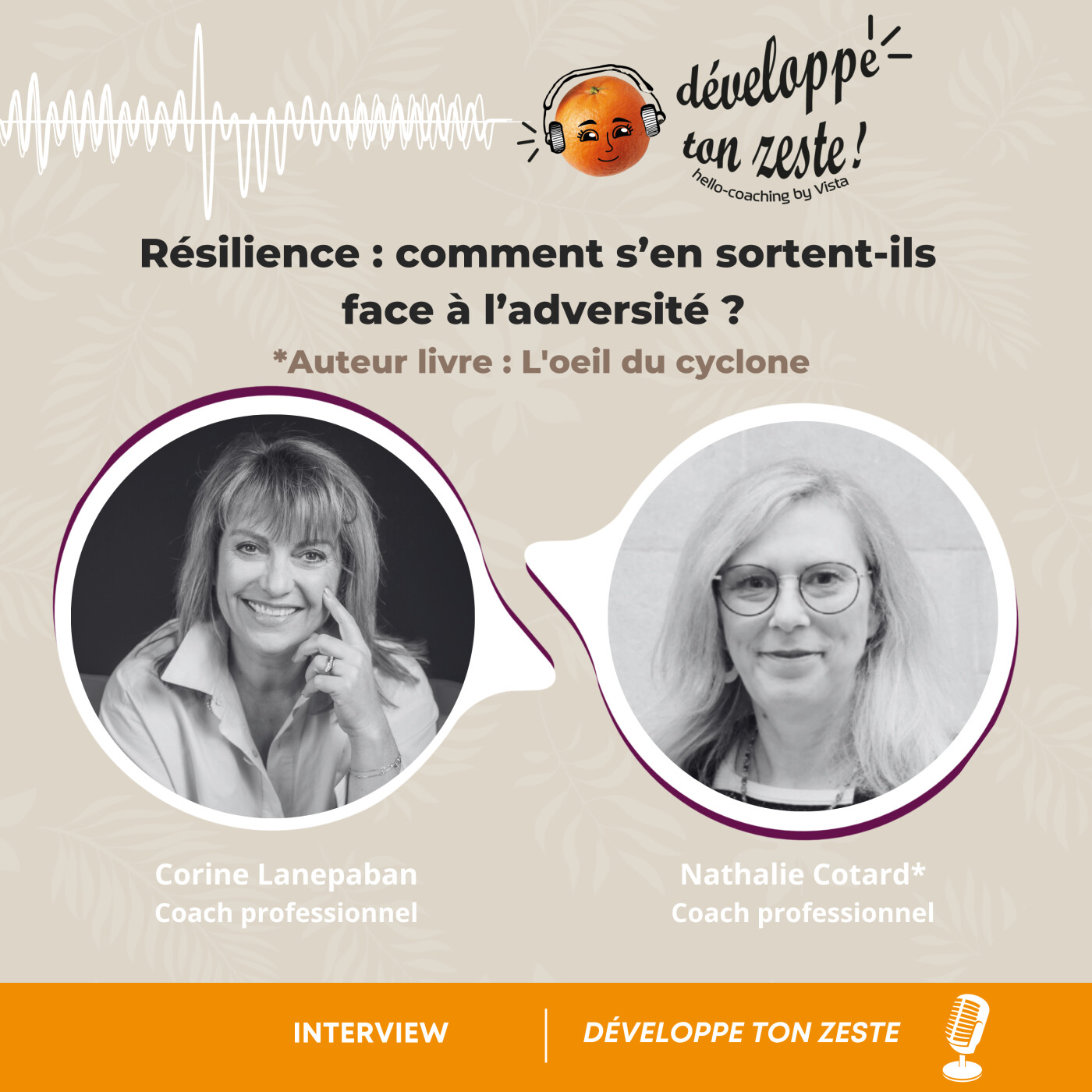 Résilience : Comment ils s'en sortent ? Interview L'œil du cyclone episode artwork