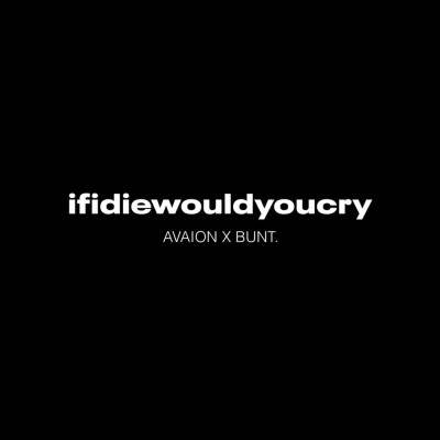 AVAION ET BUNT. UNISSENT LEURS FORCES SUR IFIDIEWOULDYOUCRY cover