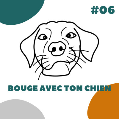Bouge avec ton chien - DLN06 cover