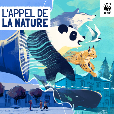 Show cover