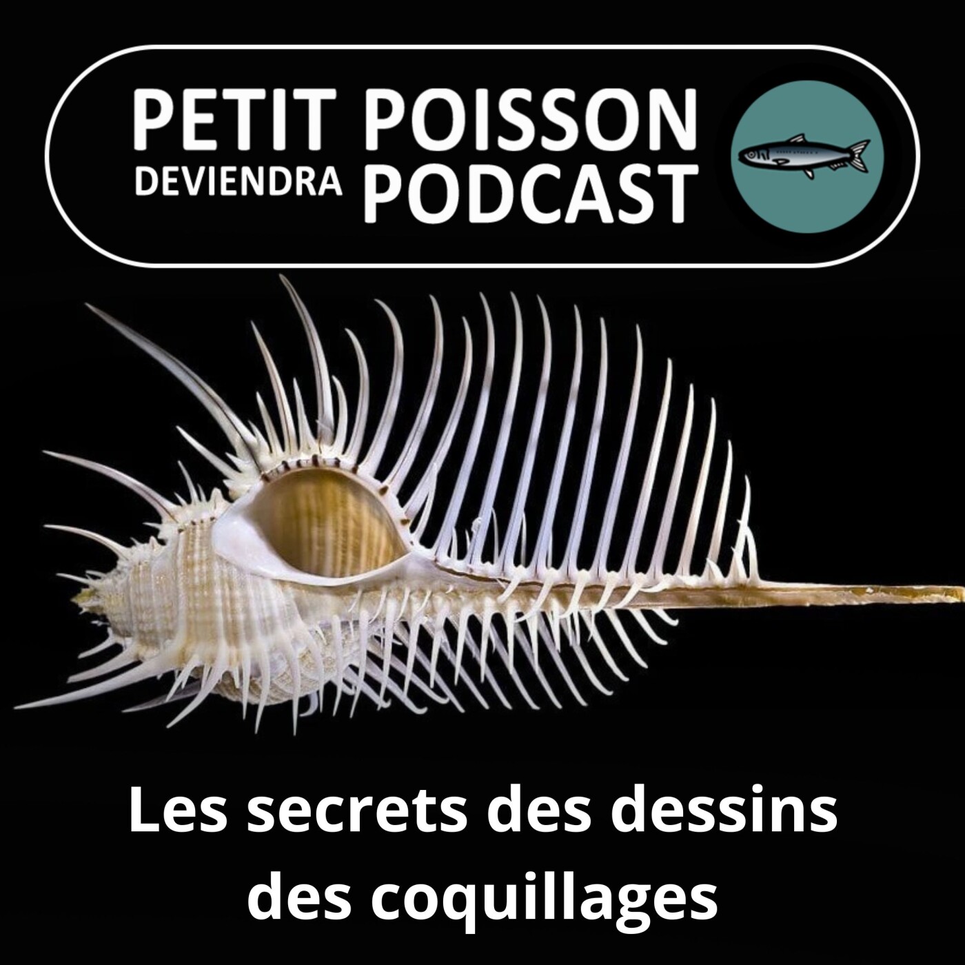 Petit Poisson deviendra Podcast