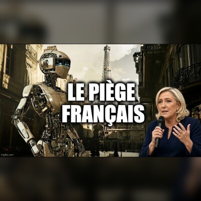 LE PIÈGE FRANÇAIS cover