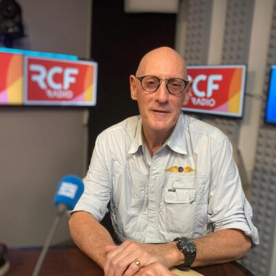 Les mots déforment-ils la réalité ? Avec Philippe-Joseph Salazar cover