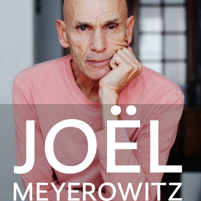 Dans l’œil de Joel Meyerowitz cover