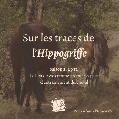 Saison 2. Ep.13 Le lieu de vie comme premier espace d'entraînement du cheval cover