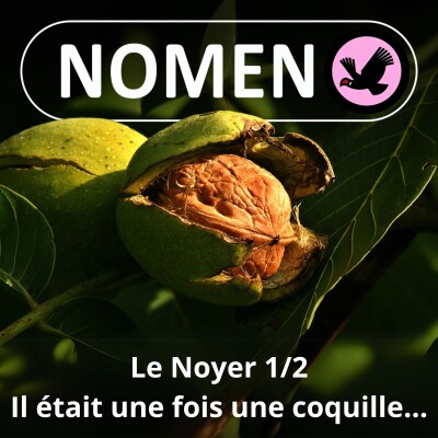 S02E04 Le Noyer 1/2 : Briser la glace... avec une coquille de la noix cover