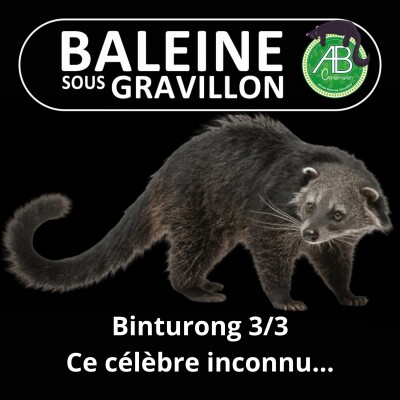 S07E137 Le Binturong 3/3 : Un inconnu pourtant si célèbre... cover