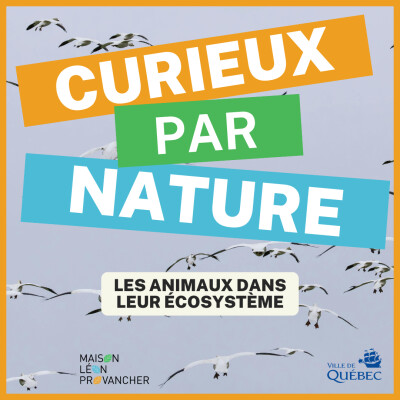 Curieux par Nature: les animaux dans leur écosystème cover