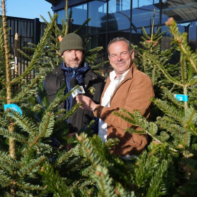 Depuis les Pépinières Le Lann de Gujan-Mestras, à l'approche de Noël Tony vous conseille sur le choix et l'entretien de votre sapin cover