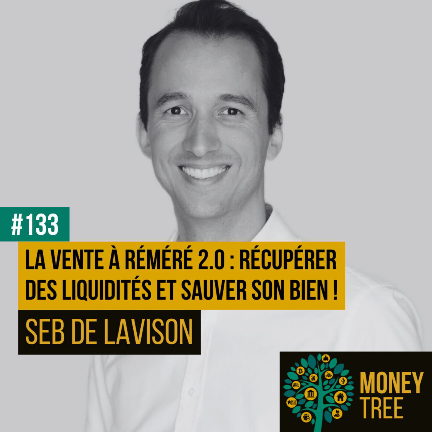 #133 - La Vente à Réméré 2.0 : Récupérer des liquidités et sauver son bien ! (Seb De Lavison)