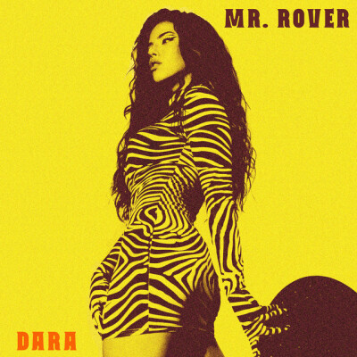Mr. Rover cover