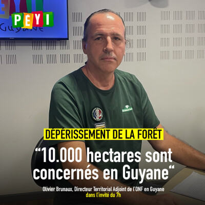 L'invité du 7h | 8 octobre 2024 | Olivier Brunaux cover