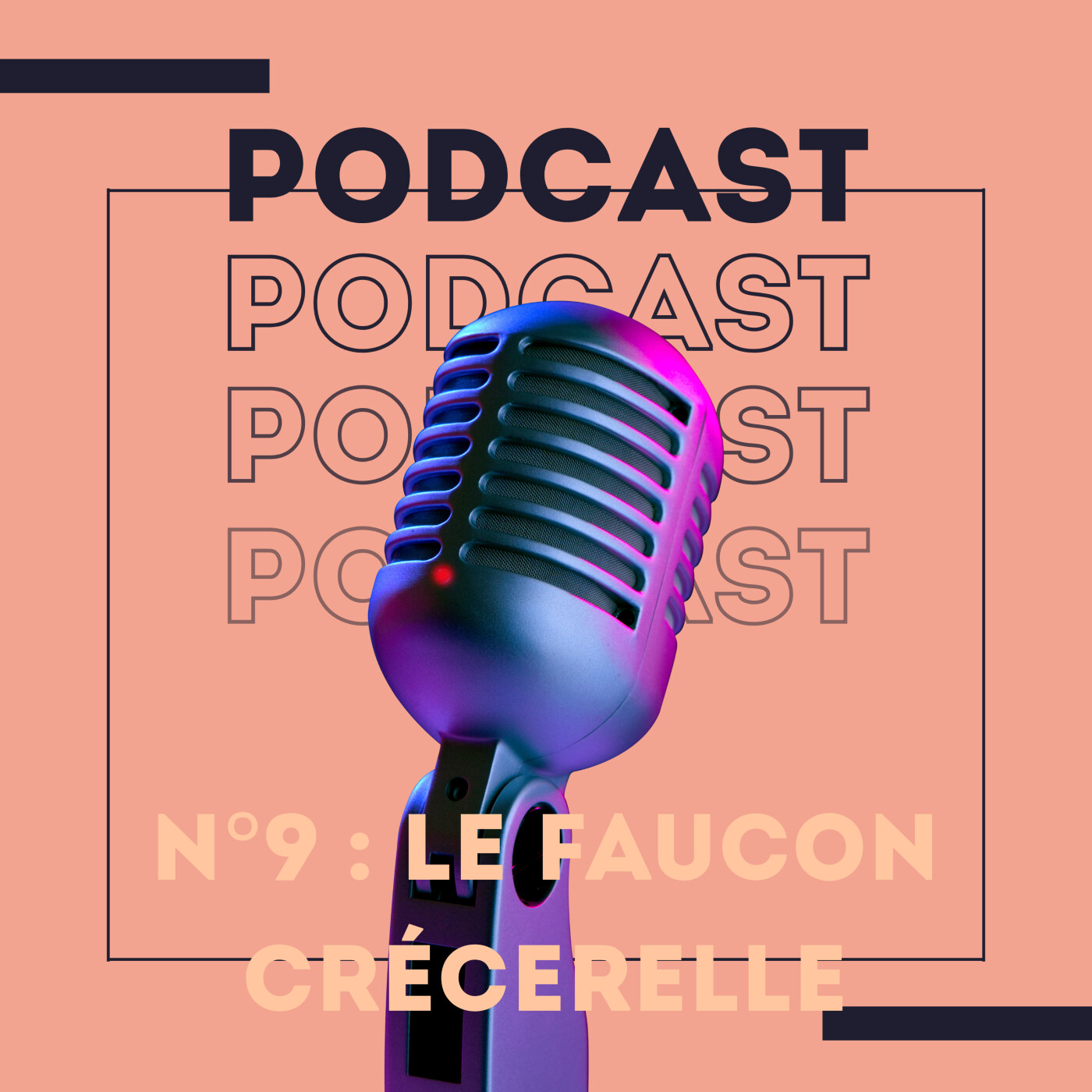 Le secret du Faucon Crécerelle, l'acrobate de nos ciels. episode artwork