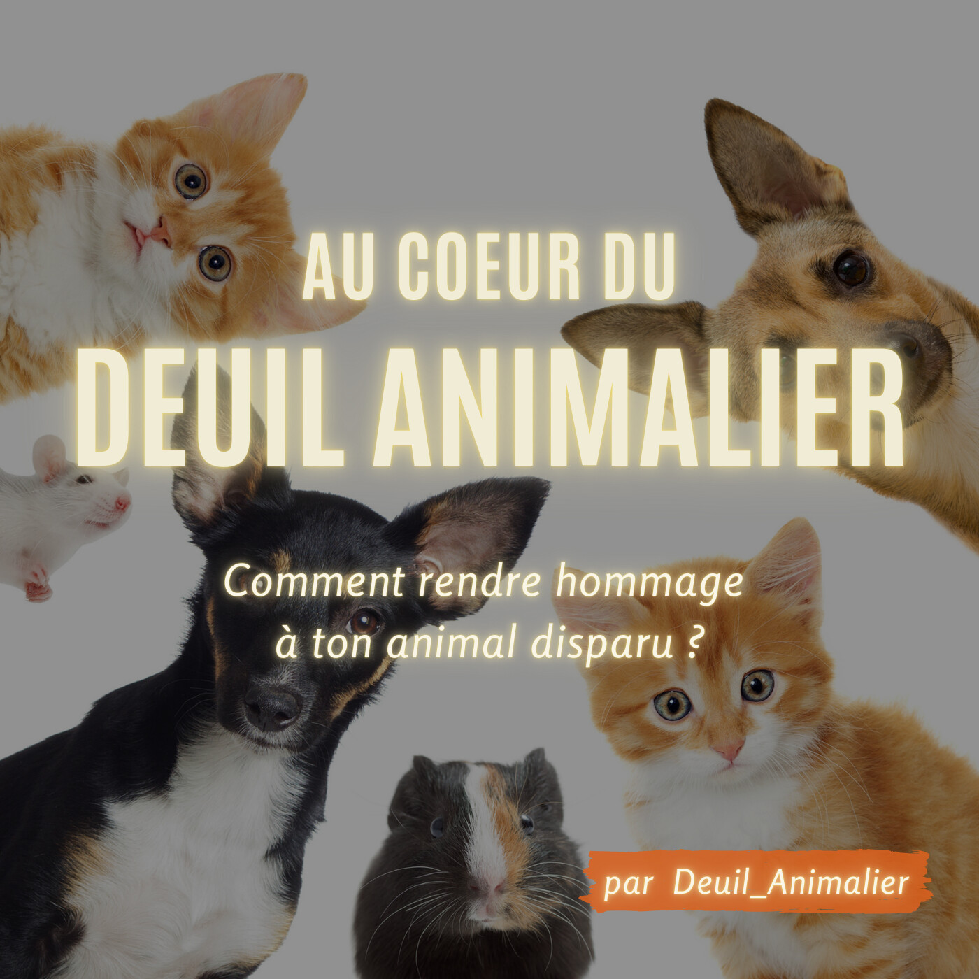 Au cœur du deuil animalier