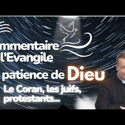 Commentaire de l'Evangile | Dimanche 23 juillet • Patience de Dieu (Coran, protestants, juifs) cover