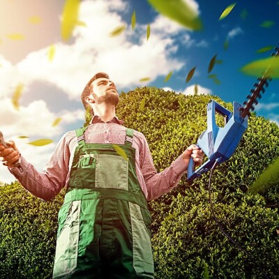 Jardin en friche : Que faire ? cover