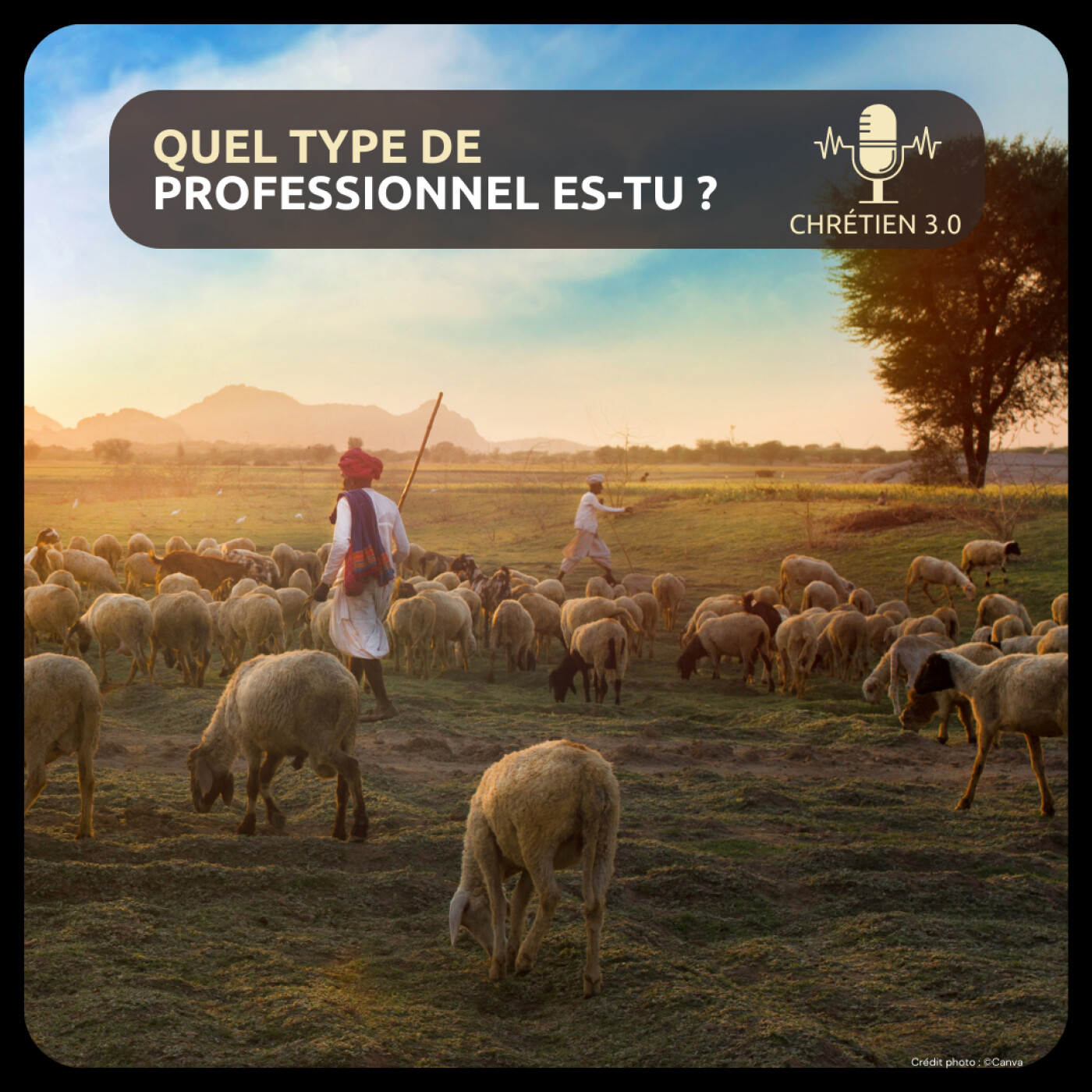 Quel type de professionnel es-tu ?