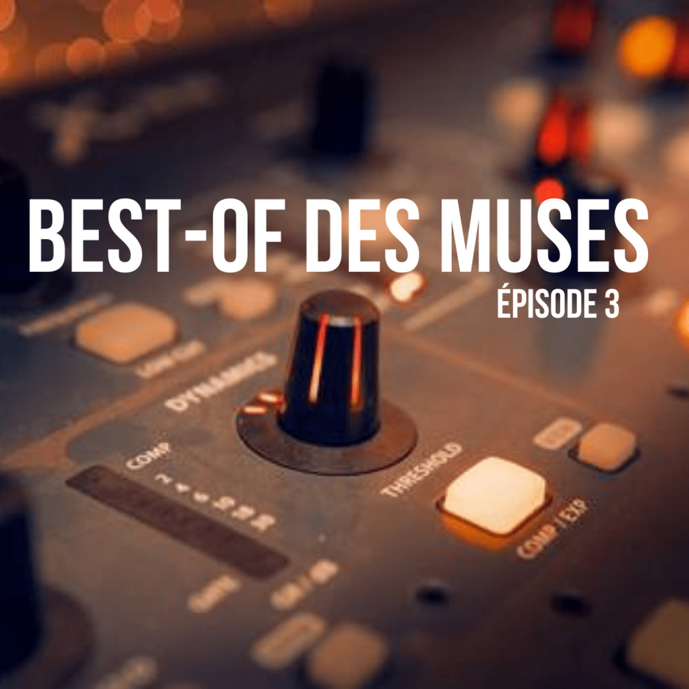 Best of des muses, Épisode 3 par Laurence
