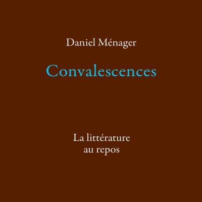 Daniel Ménager - Convalescences cover