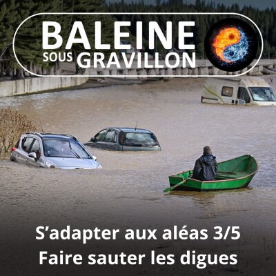 S08E04 S'adapter aux aléas 3/5 : Faire sauter les digues... et les (mauvaises) habitudes (Éric Daniel-Lacombe) cover