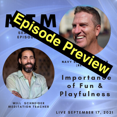 Preview of The Importance of Fun and Playfulness cover