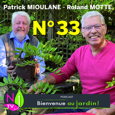 EMISSION #33 du 27 NOVEMBRE 2021- L'INTEGRALE cover