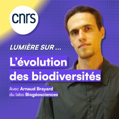 Lumière sur... L'évolution des biodiversités cover