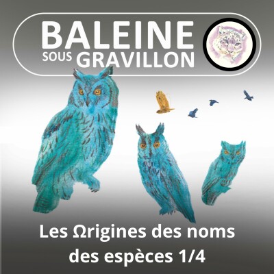 HORS-SÉRIE Les Ωrigines des espèces 2/4 : Les plus originaux (Marc Mortelmans) cover