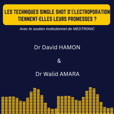 Les techniques Single Shot d’électroporation tiennent-elles leurs promesses ? cover