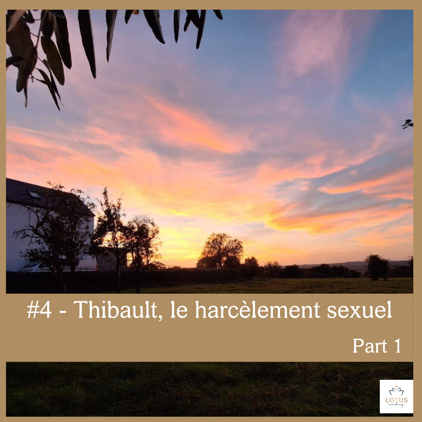 #4 - De l'amour au harcèlement - Thibault episode artwork