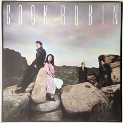 UN JOUR UN DISQUE #595 COCK ROBIN cover
