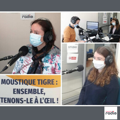 ARS LE MAG - La lutte antivectorielle contre le moustique tigre cover
