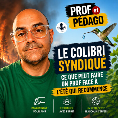 Le colibri syndiqué ; ce que peut faire un prof face à l'été qui recommence cover