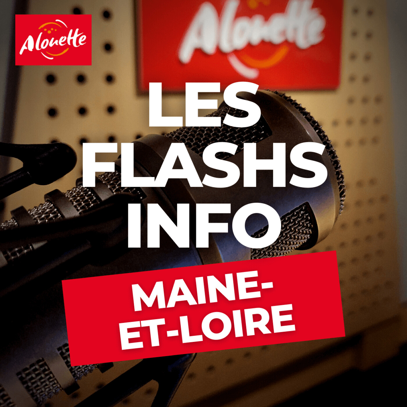 Alouette - Les Infos du 20 Mars 07h30 en Maine-et-Loire.