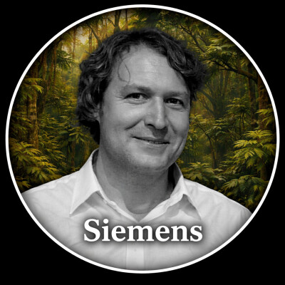 Les courants de la pédagogie - Siemens & Downes et le connectivisme - Perrine cover