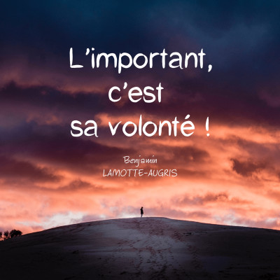 L'important, c'est sa volonté ! cover